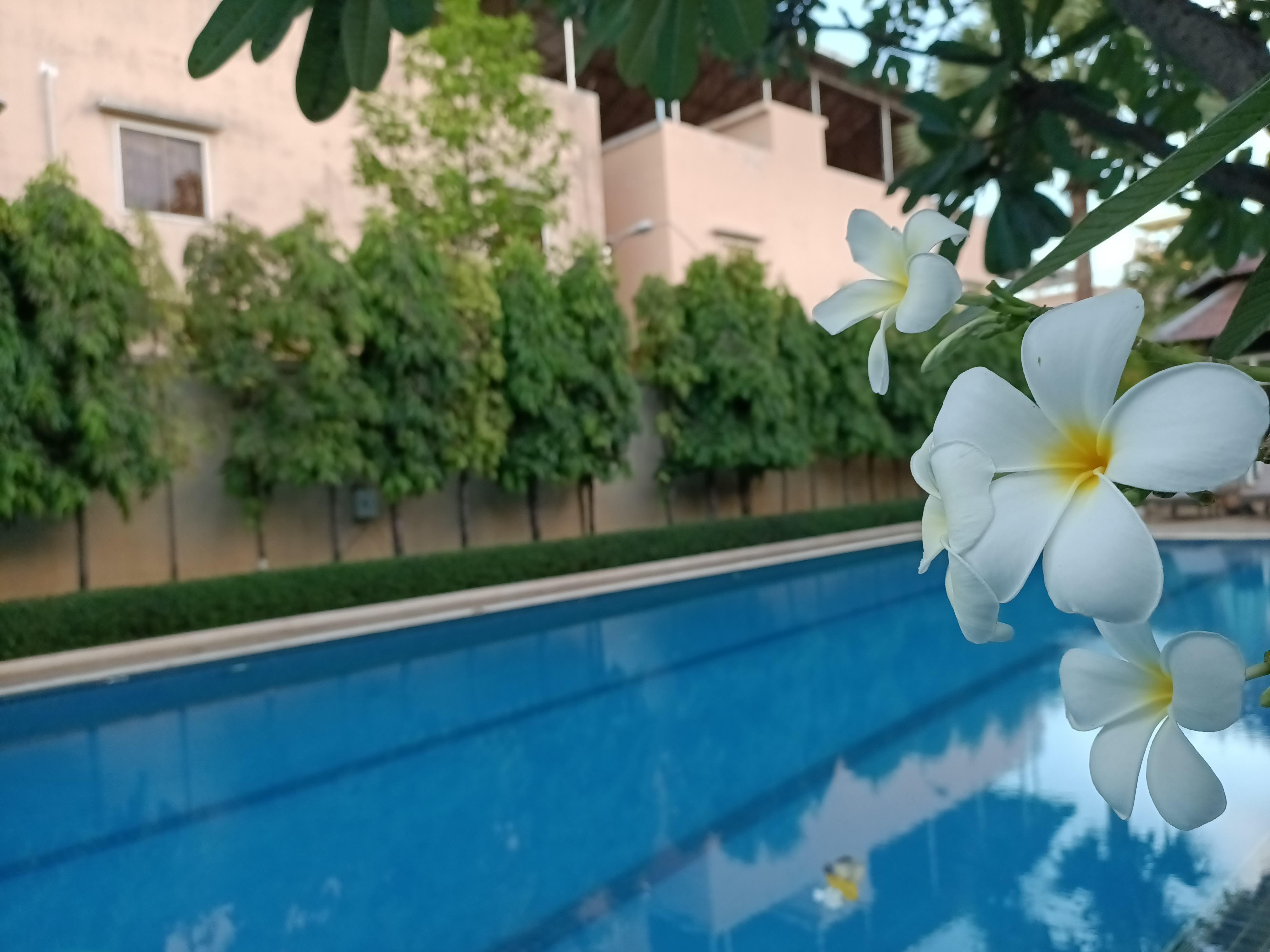 Starry Angkor Hotel Siem Reap Buitenkant foto