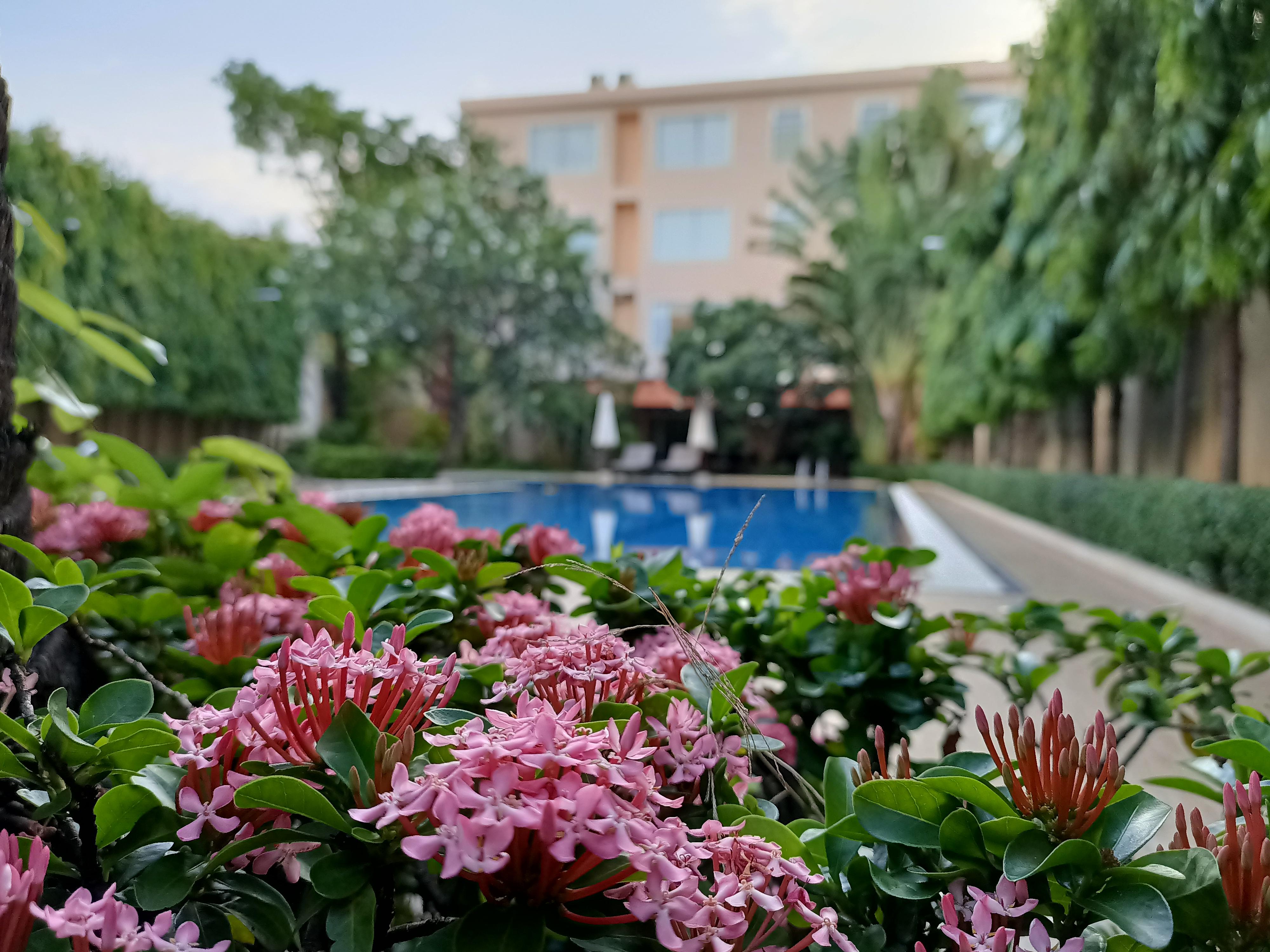 Starry Angkor Hotel Siem Reap Buitenkant foto