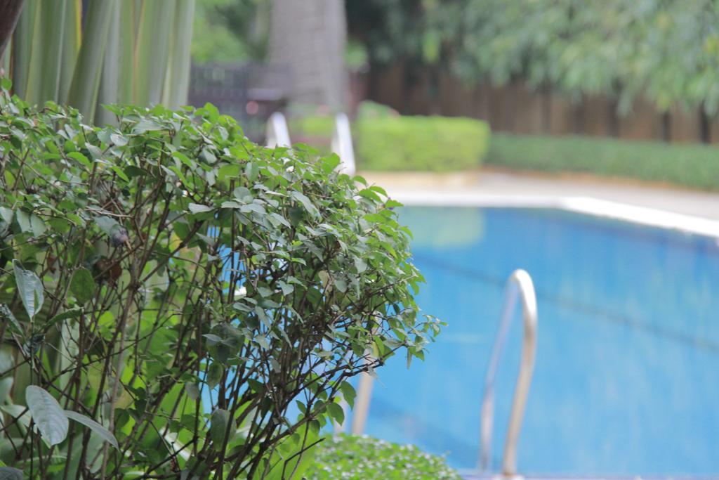 Starry Angkor Hotel Siem Reap Buitenkant foto